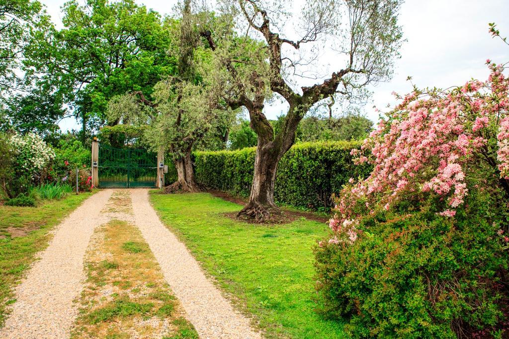 I Glicini Appartamento Castagneto Carducci Exterior foto